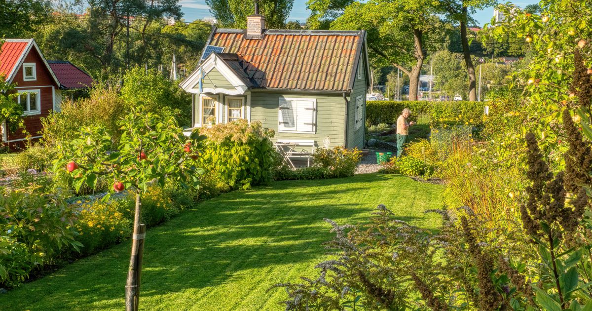 Robotgräsklippare på liten tomt — är det värt det?