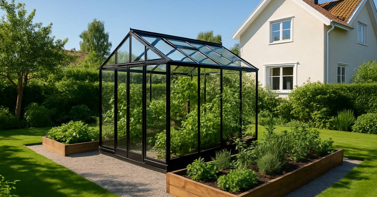 Modernt svartramat glasväxthus i en välskött svensk villaträdgård en solig dag