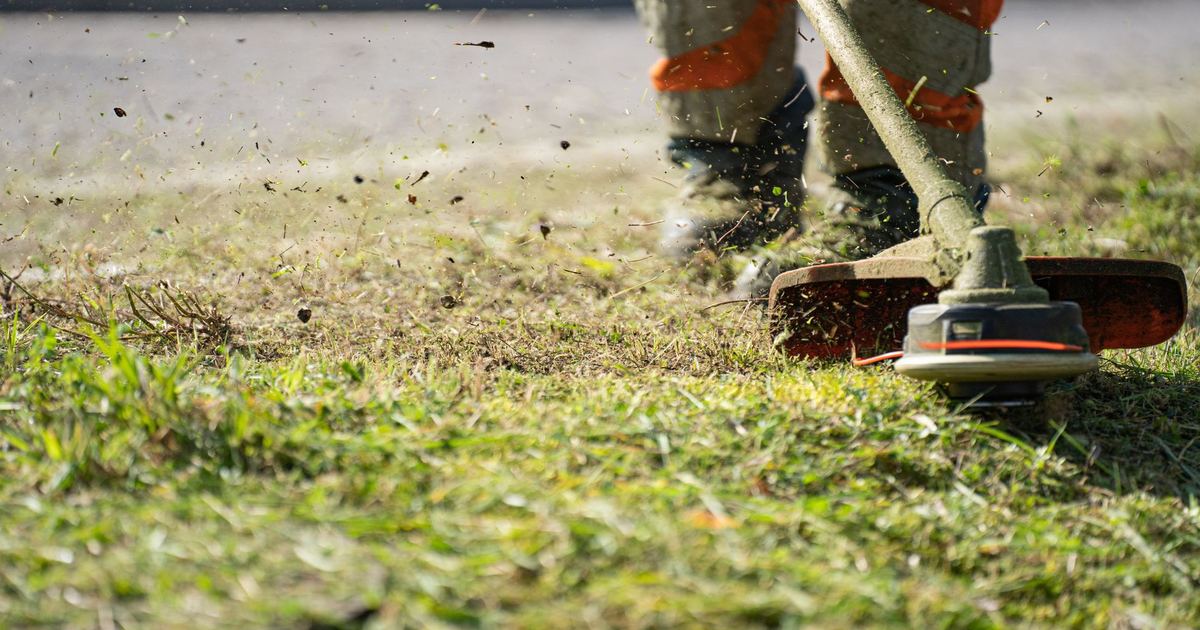 Grästrimmer eller röjsåg: vad behöver din tomt?