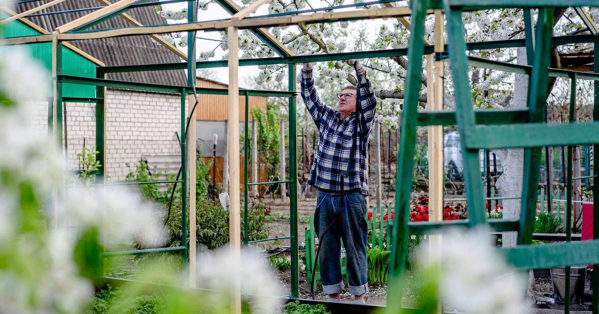 Grundlägga växthuset: platta, plintar eller mark