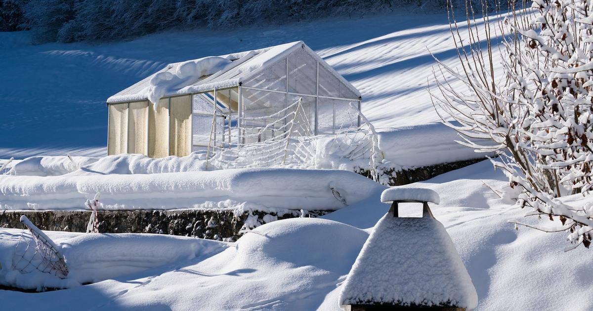 Övervintra växthuset: snölast, frost och skötsel