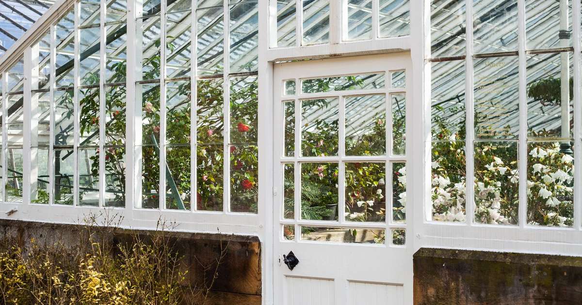 Glas eller polykarbonat: så väljer du växthusmaterial